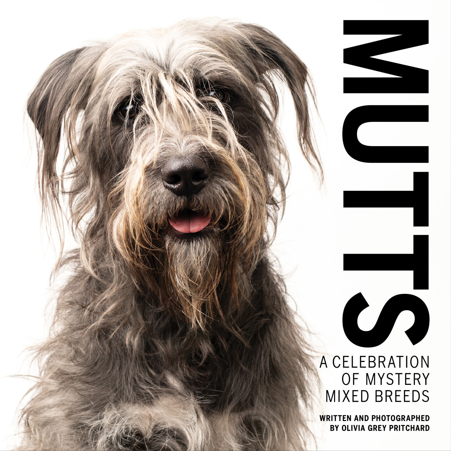 MUTTS_COVER_v9.jpg